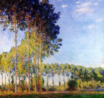 Álamos a orillas del río Epte visto desde el bosque de Marsh Claude Monet Pinturas al óleo